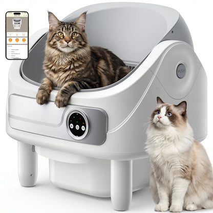 Automatische Open-Top Katzentoilette 75L in Weiß mit Katzen und App-Steuerung