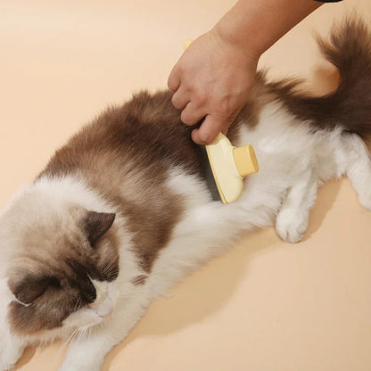 Fellkamm für Katzen zur regelmäßigen Fellpflege